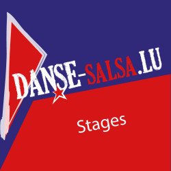 Stage perfectionnement salsa portoricaine du 28 février 2026